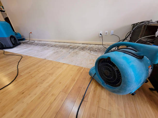 Professional Ceiling Water Damage Repair technician working in Downey, CA